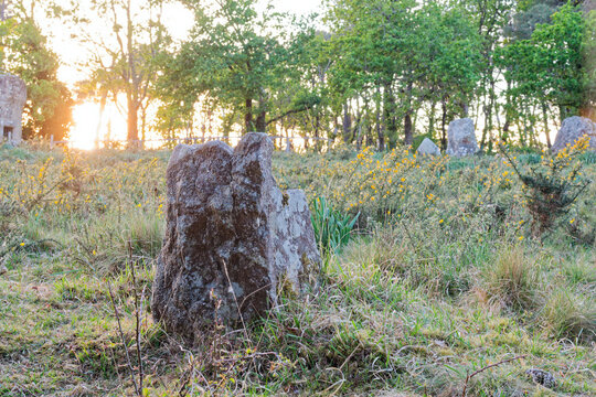 Explorez les myst&egrave;res de Carnac : ses dolmens (s&eacute;pultures collectives) et tumulus (tertres fun&eacute;raires monumentaux). Un voyage fascinant au c&oelig;ur du n&eacute;olithique entre l&eacute;gendes et architecture