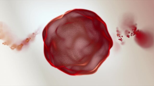 Red 3D sphere on a white background. Close-up. Macroscopic particles of the body. Organic red blood cells, hemoglobin, liquid connective tissue, plasma, red blood cells. Looping 4K.