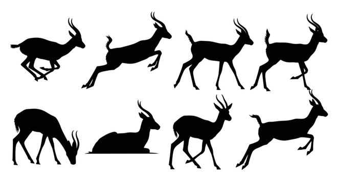 Several deer are running and jumping in a natural outdoor setting with some resting.