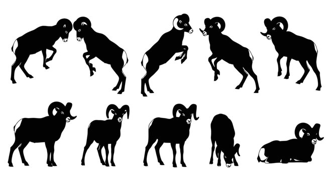 Several ram silhouettes are shown in various poses on a plain white background image-052.ai