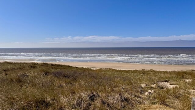 Dunes Holland, Dutch landscape of the dunes along the coast of the North Sea outdoor at daytime with blue sky during springtime season in Noordwijk aan Zee in The Netherlands with space for text.