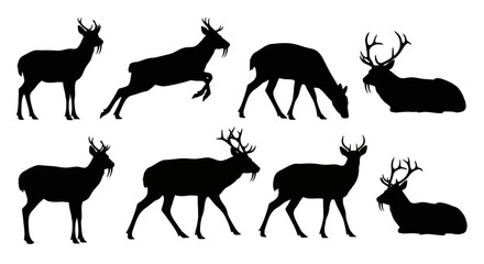 Fototapeta premium Deer in various actions and poses in a natural environment from a frontal viewpoint in an illustration
