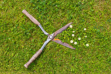Obraz premium Garden tools rest on grass after trimming flowers during a sunny afternoon in the backyard