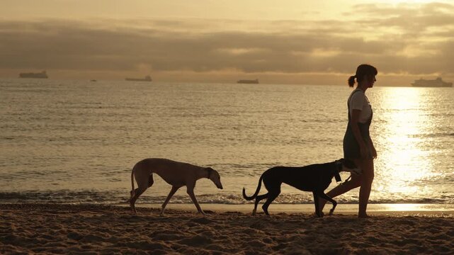 Slow motion side tracking shot of a woman walking with two dogs along the beach at sunset. Silhouette against the ocean with warm golden light and calm atmosphere.