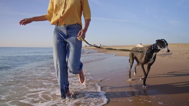 Slow motion tracking shot of a woman running barefoot along the shoreline with two dogs. Camera moves backward capturing splashing water and playful movement on a sunny beach.