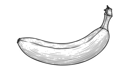 Detailed vintage woodcut style illustration of a ripe banana, featuring precise textured lines and subtle stippling for depth. © Hasibul