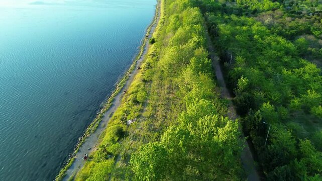Aerial view of a scenic path alongside a tranquil blue lake and lush green forest