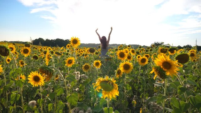 Unrecognizable pretty girl walking among blooming sunflowers. Young woman in dress going through field enjoying freedom and beautiful nature environment. Scenic summer landscape at background