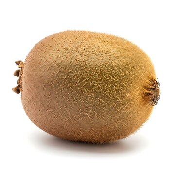 A single whole fresh kiwi fruit with brown fuzzy skin isolated on a clean surface for healthy food and diet concepts