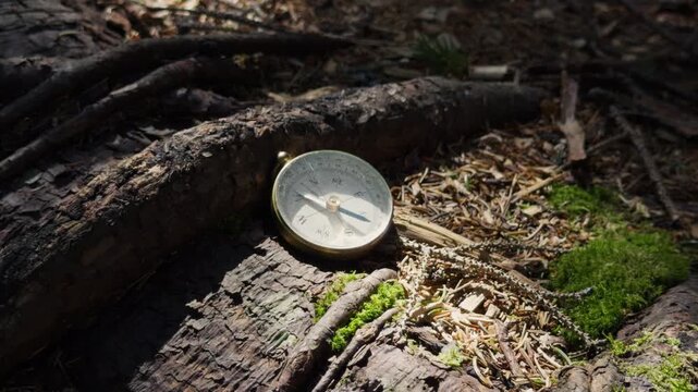 Close Up Old Compass Lying On Forest Ground Among Moss Covered Tree Roots And Pine Needles Sunlight Rays Illuminating Needle Showing Direction Navigation Nature 4K