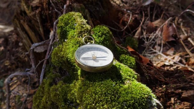 Compass On Moss Covered Stump In Forest Sunlight Rays Highlight Magnetic Pointer Showing Direction Travel Exploration Adventure Nature Background 4K
