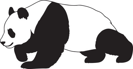 black and white panda Silhouette Vector  © FARUK HOSSAIN