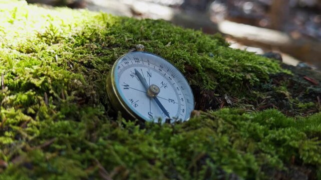 Macro Old Compass On Moss Stump In Forest Sunlight Rays Highlight Needle Showing Way Travel Navigation Exploration Adventure Nature Background 4K