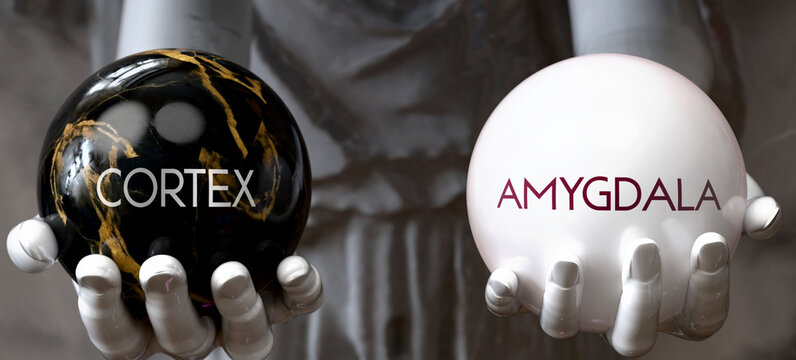 Cortex or Amygdala - decide between two options. Greek statue presenting a choice: cortex or amygdala, weighing their values. Looking at pros and cons. Presenting possibilities. ,3d illustration