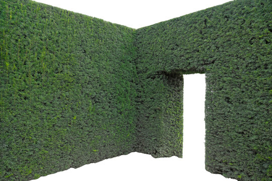 Green Textured Walls with Doorway Opening