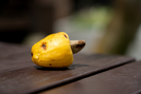 Ripe Yellow Cashew Apple with Attached Nut on a Rustic Dark Wood Table Surface