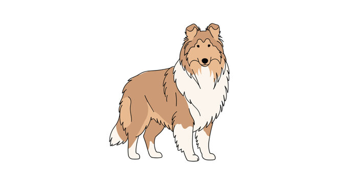 Portrait of a long-haired rough collie dog standing against a clean white background in a detailed and colorful flat illustration style.