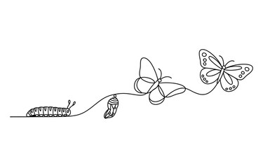 Continuous line drawing of butterfly life cycle © Sapna Rani