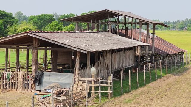 An old cowshed in the middle of a rice field.