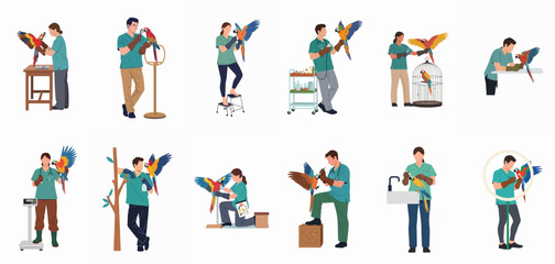 Set of veterinarians and avian specialists caring for and handling colorful macaw parrots in various medical and routine check-up scenarios. © Pytu
