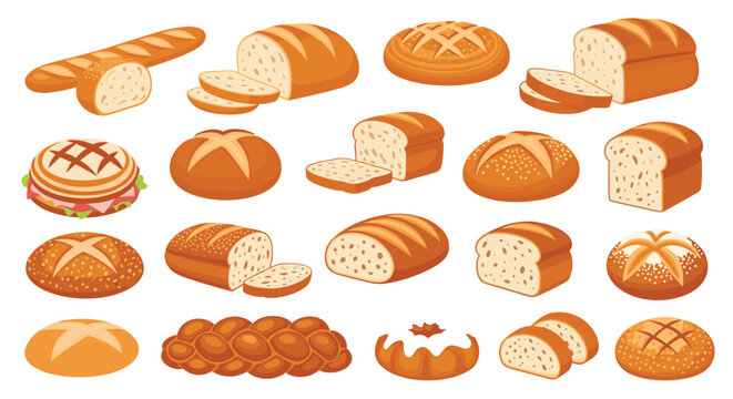 Assorted collection of freshly baked bread includes baguettes, round loaves, sliced bread, buns, and braided loaves on a white background.