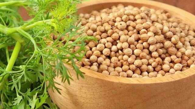 Coriander seeds in a container.