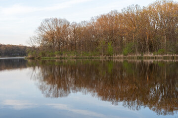 Obraz premium Calm lake with tree reflections and spring forest at sunset light