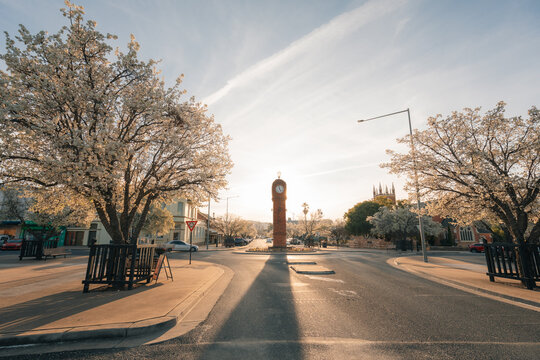 Golden hour illuminates a historic roundabout clock tower in the centre of a small town