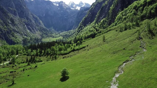 Aerial View of Lush Green Apine Valley and High Mountin Slopes in Summer