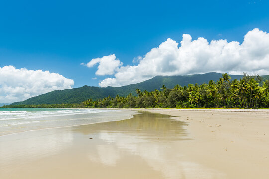 Cape Tribulation beach in the Daintree Rainforest