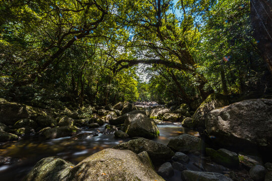 Mossman river flowing amongst the boulders at Mossman Gorge
