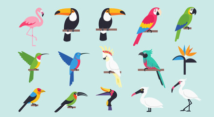 Naklejka premium Colorful bird collection vector illustration