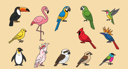 Colorful birds collection illustration © BIGO