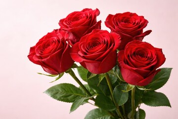 Naklejka premium A lush bouquet of five vibrant red roses against a soft pink background.