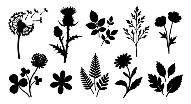 Floral design elements with black silhouettes of weeds and garden plants, Wildflower and meadow plant silhouette collection isolated on white background, flower, leaf, leaves, pattern, branch, floral