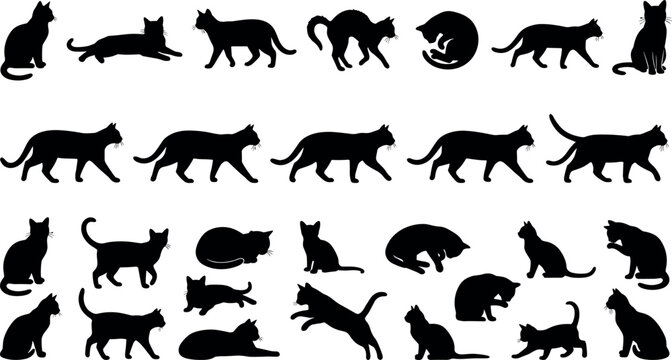Large collection of black cat silhouettes in various poses including walking jumping sitting and stretching isolated on whiteLarge collection of black cat silhouettes 