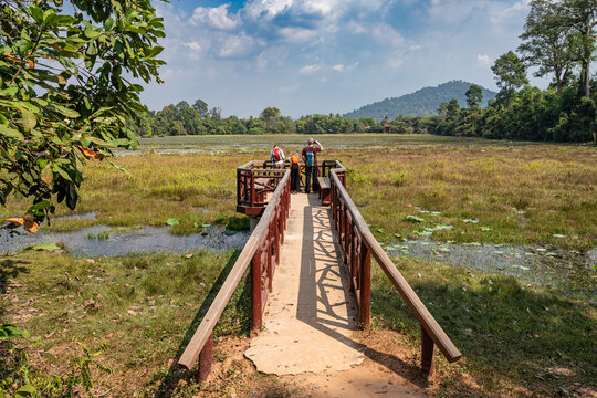 Siem Reap, Cambodia - Tourists stand on an observation deck near Banteay Srei Temple and watch the birds