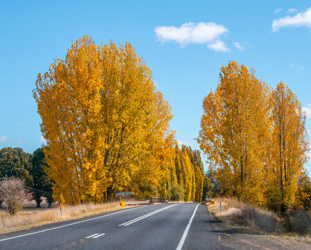 Autumn colour in New England