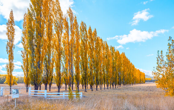 Autumn colour in New England