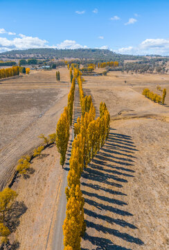 Aerial view of New England Autumn Colour