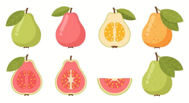 Colorful guava fruit collection