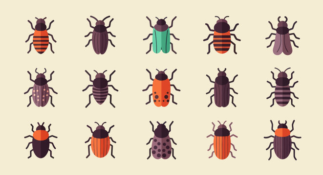 Colorful insect collection on light background