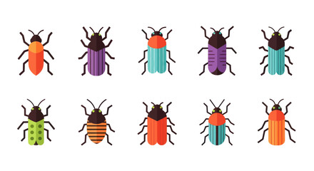 Colorful insect collection on white background © Corvus