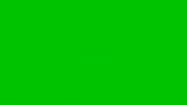 Blank Canvas of Green: A clean, vibrant, and solid green backdrop. Its simplicity offers limitless creative possibilities, making it a perfect starting point for any design or visual project. 