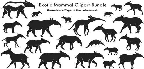 Fototapeta premium Black Silhouette Exotic Tapir and Unusual Mammal Clipart Bundle Including Adult and Baby Tapir in Various Poses