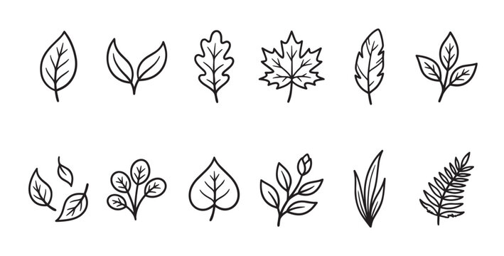 A collection of simple black line art illustrations of various leaves and branches on a white background.