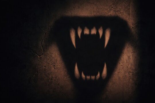 A shadow resembling a monstrous mouth with sharp teeth is cast on a cracked, textured wall, evoking a sense of fear and menace.