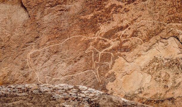 Rock Paintings In Gobustan National Historical Artistic Reserve