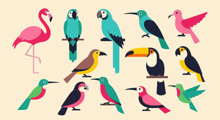 Naklejka premium Colorful tropical bird vector illustration