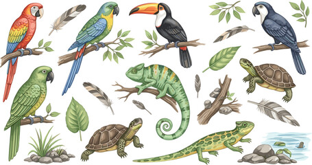 Naklejka premium Exotic Birds and Reptiles Collection Vector Illustration Featuring Parrot Toucan Chameleon Turtle Lizard and Tropical Wildlife Elements Set